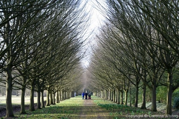 Anglesey Abbey - Photo 12